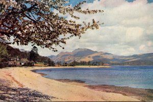Scotland Ben Lomond From Loch Lomond From Luss1959