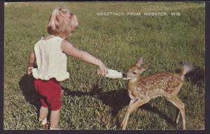 Greetings From Webster,WI,Deer Postcard BIN