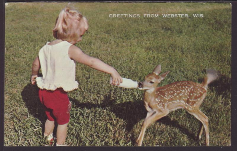 Greetings From Webster,WI,Deer Postcard BIN