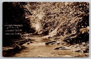 RPPC Grimes Glen Naples NY Looking Towards 2nd Falls To Gerard PA Postcard B32