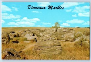 Minneapolis Kansas KS Postcard Dinosaur Marbles Rock City Spherical Rocks
