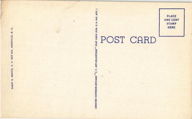 MAIN STREET BLACK MOUNTAIN NORTH CAROLINA