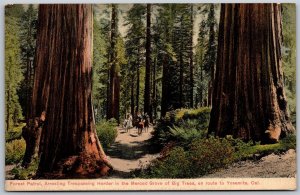 Vtg Yosemite California CA Forest Patrol Merced Grove of Big Trees View Postcard