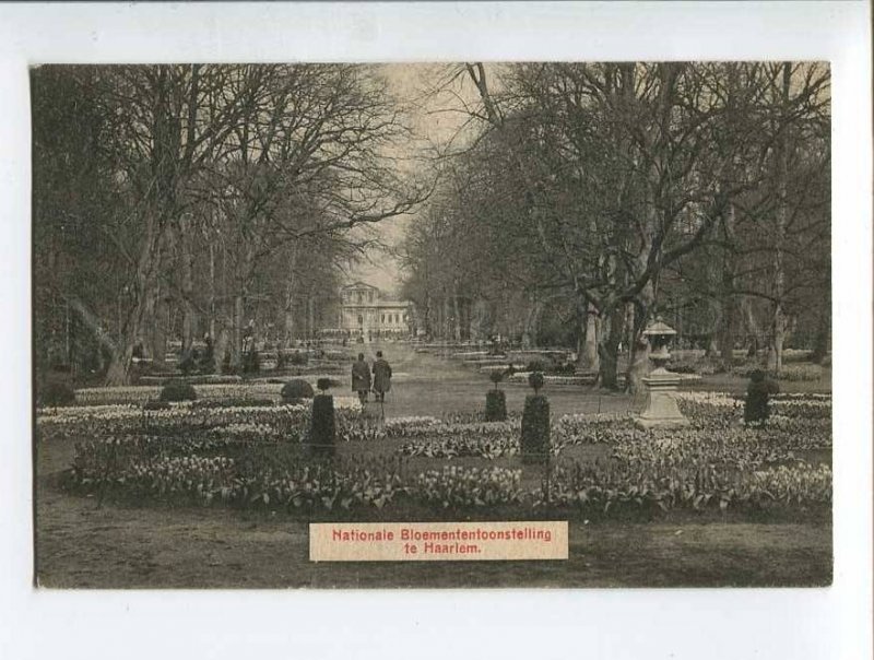 286969 NETHERLANDS HAARLEM Flower exhibition Vintage postcard