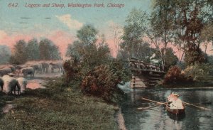 Vintage Postcard 1914 Lagoon and Sheep Washington Park Chicago Illinois ILL