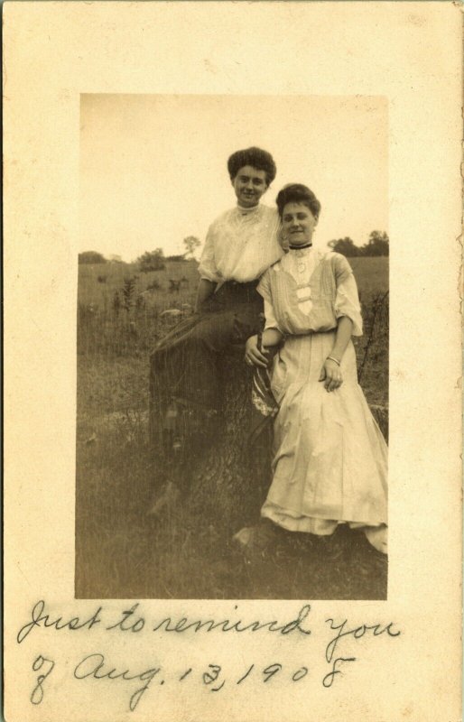 RPPC Women on a Stump 1908 PM Farmington Missouri Real Photo Postcard