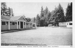 Santa Cruz California Sequoia Gardens General View Vintage Postcard AA56370