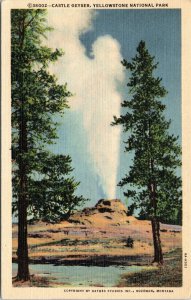 postcard Yellowstone National Park - Castle Geyser