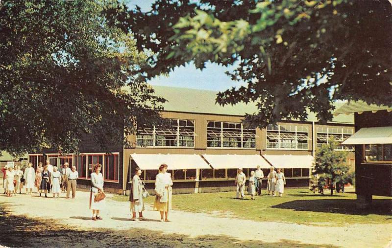 North East Maryland Sandy Cove Bible Conference Vintage Postcard K43752