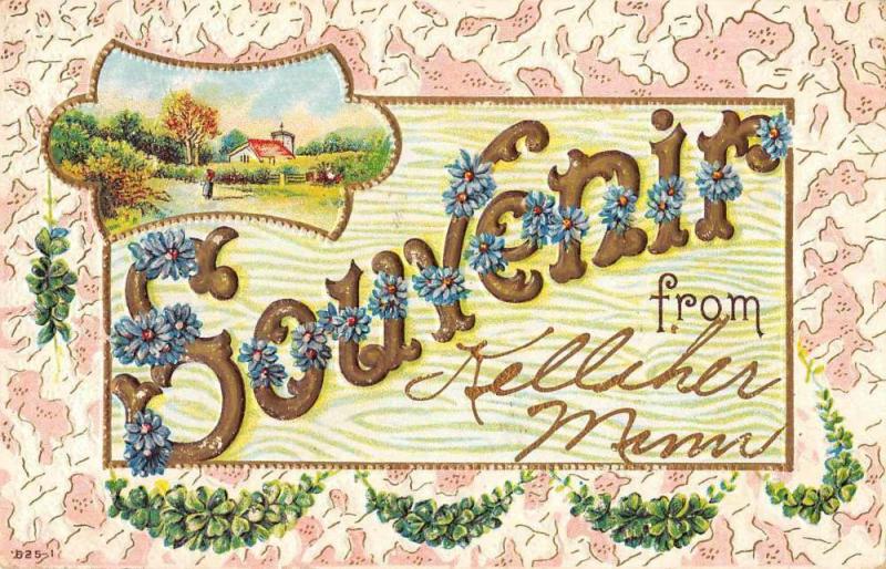 Kelliher Minnesota Greetings Souvenir Vintage Postcard JD933438