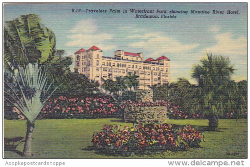 Travelers Palm Waterfront Park with Manatee River Hotel Bradenton Florida 194...