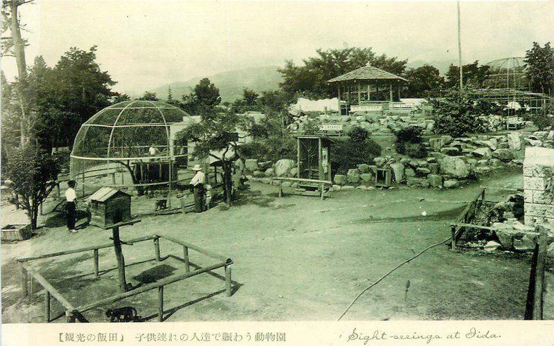 200 Bird Cages Japan 1940s RPPC real photo postcard 8225