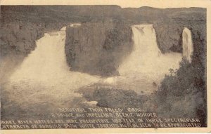 TWIN FALLS Idaho Snake River Waterfalls c1910s Vintage Postcard