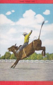 Cowboy Steer Riding