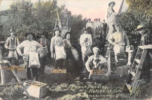 Hotchkiss Colorado Peach Packing Orchard Scene Vintage Postcard AA30191