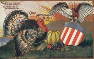 Eagle & Turkey , Our National Birds , 1908