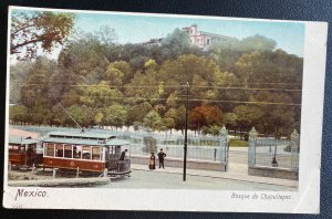 Mint Mexico Color Picture Postcard Chapultepec Forest