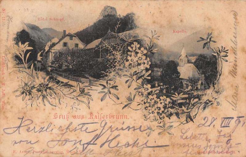 Kaiserbrunn Austria Hotel Schnepf Gruss aus Antique Postcard J59832