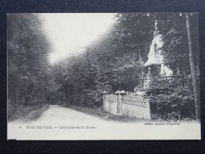 France Somme BOIS DE CISE Cottage Sous Bois c1903 Postcard