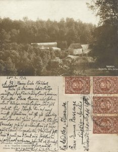 chile, VALDIVIA, Enmedio de la Selva, In the Jungle (1913) RPPC Postcard