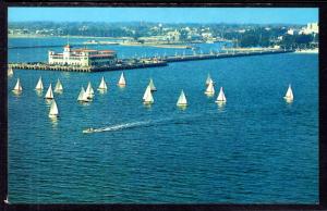 Sailboat Regatta,St Petersburg,FL