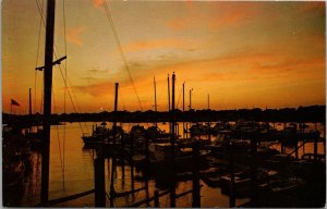 Sunset Cape Cod MA Postcard PC523