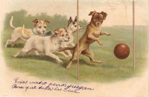 \Dogs playing football\ Nice antique postcard