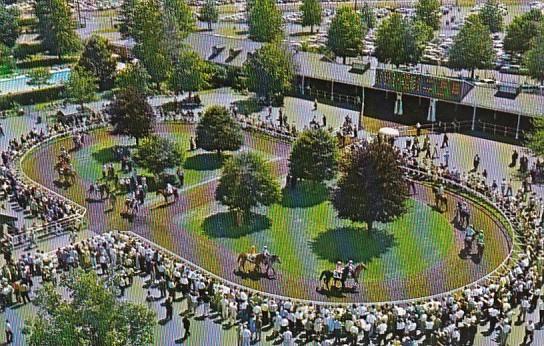 Horse Racing English Walking Ring Monmouth Park Oceanport New Jersey