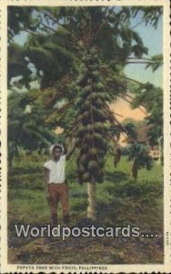 Papaya Tree with Fruit Philippines Postcard