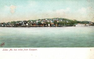 Vintage Postcard Two Miles From East Port Lubec Maine ME Metropolitan News Pub.
