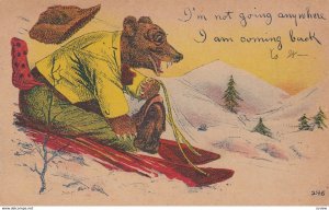 Bear on a sled , 00-10s