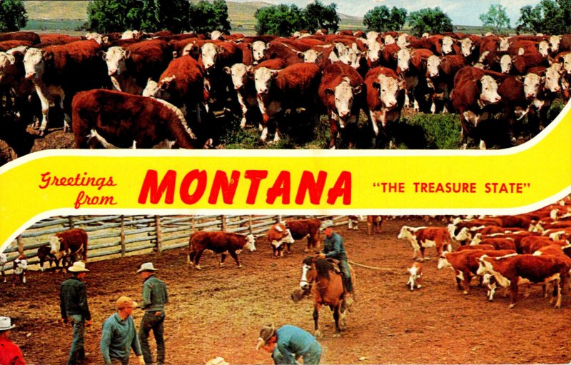 Montana Greetings From The Treasure State With Cattle Branding and Cattle Herd