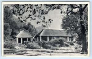 CAPE TOWN, South Africa ~ Kirstenbosh Botanical Garden TEA HOUSE 1958  Postcard