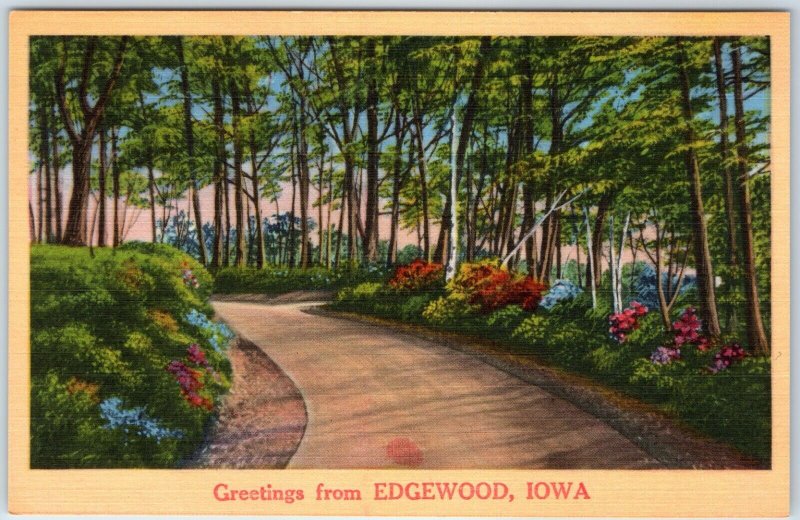 x9 LOT c1940s Edgewood, IA Greetings from NYCE Landscape Linen Postcards A257