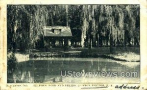 Sulphur Pond and Spring in Clifton Springs, New York