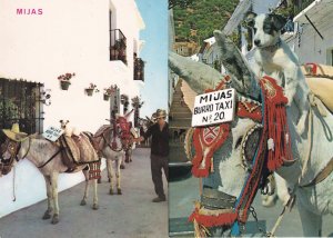 Mijas Taxi Costa Del Sol Donkey Taxis 2x Postcard s