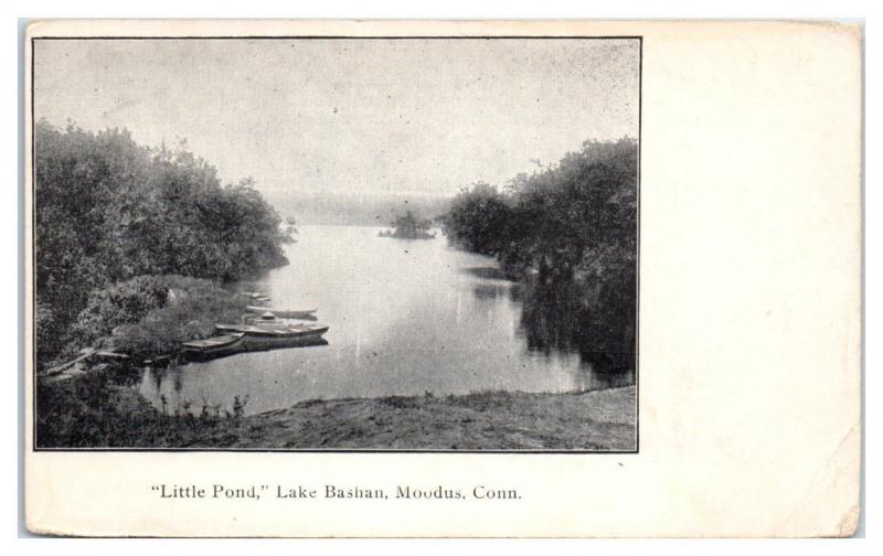 Early 1900s Little Pond, Lake Bashan, Moodus, CT Postcard