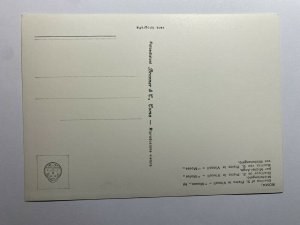 UNUSED STATUE POSTCARD - ROMA IL  MOSE MICHELANGELO   (KK2921) 