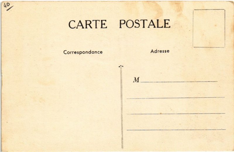 CPA AK Souvenir des Landes FRANCE (1280857)