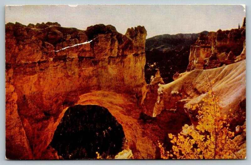 1952  Bryce Canyon National Park  Utah  Natural Bridge   Postcard