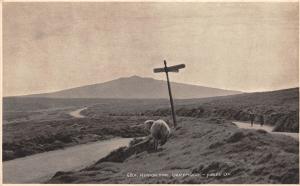 BF34484 rippon tor dartmoor  juges ltd hastings uk front/back scan