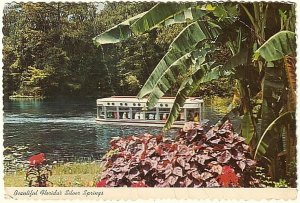 Glass Bottom Boat, Silver Springs Boat Tour, Florida, 1979 Chrome Postcard