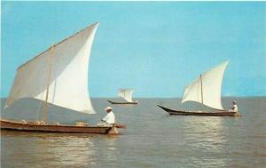 Mexico, Jalisco, Lake Chapala, Excursions To Islands,Sail Boats,par Laboratorias