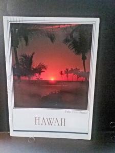 Postcard  Palm Tree Sunset  Hawaii   Z2