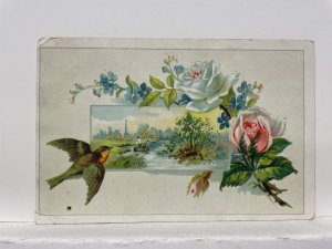Paris Eiffel Tower Bird Floral Art River Pond with Boat Antique Postcard