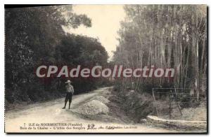 Old Postcard Ile de Noirmoutier (Vendee) Bois de la Chaise