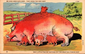 Pigs Young Pigs Feeding We Have Good Eats Here They Serve The Very Best 1942 ...