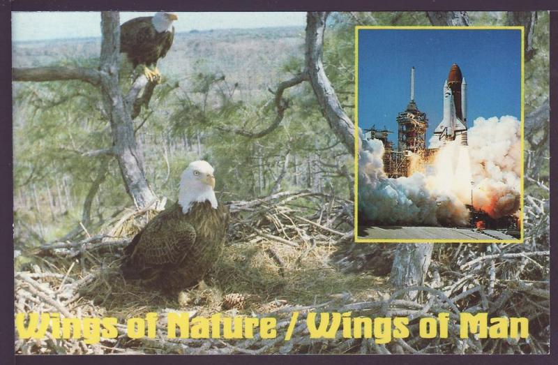 Space Shuttle Launch and Bald Eagle Post Card K140