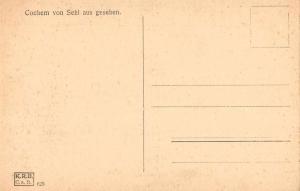 Cochem Germany Sehl aus Gesehen Birds Eye View Antique Postcard J67892