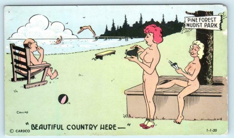 Risque Comic PINE FOREST NUDIST PARK Camp Beautiful Country 1956  Postcard 